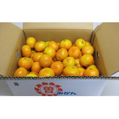 香川県産 ゆら早生みかん 約3kg　L-S　約24-36個_Z2600551