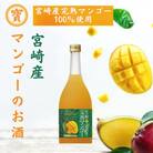 宝 宮崎産マンゴーのお酒 720ml×6本