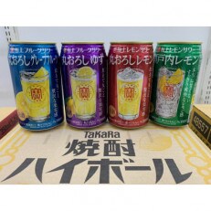 極上レモンサワー　4種類飲み比べセット　350ml×24本