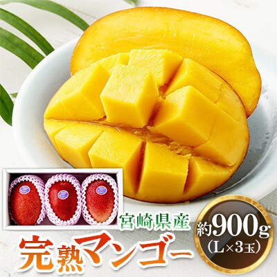 宮崎県産完熟マンゴー L×3玉(約900g)