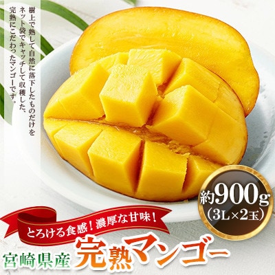 宮崎県産完熟マンゴー 3L×2玉(約900g)