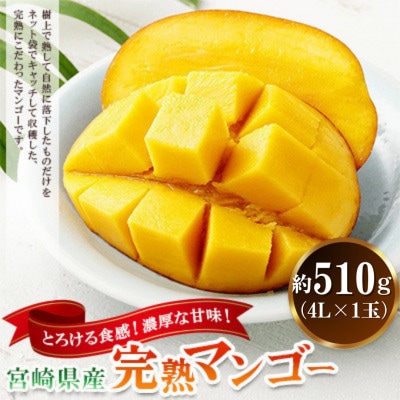 宮崎県産完熟マンゴー 4L×1玉(約510g)