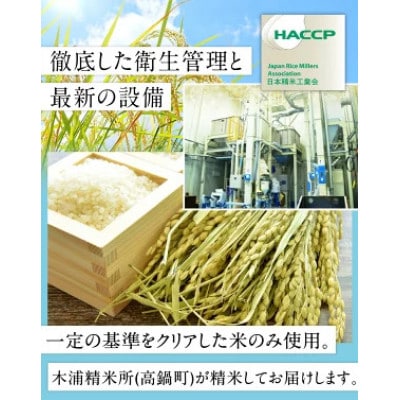 宮崎県産米 ふる里からの贈り物 5kg×1袋