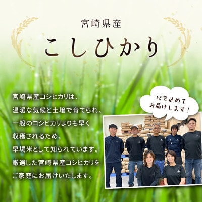 ※数量限定!※　令和7年産 宮崎県産こしひかり 精米・白米 3kg×1袋 計3kg【訳あり!】