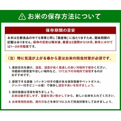 ※数量限定!※　令和7年産 宮崎県産こしひかり 精米・白米 3kg×1袋 計3kg【訳あり!】
