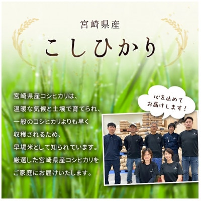 ※数量限定!※令和7年産 宮崎県産こしひかり 無洗米 3kg×1袋 計3kg【訳あり!】