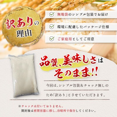 ※数量限定!※　令和7年産 宮崎県産こしひかり 無洗米 3kg×2袋 計6kg【訳あり!】