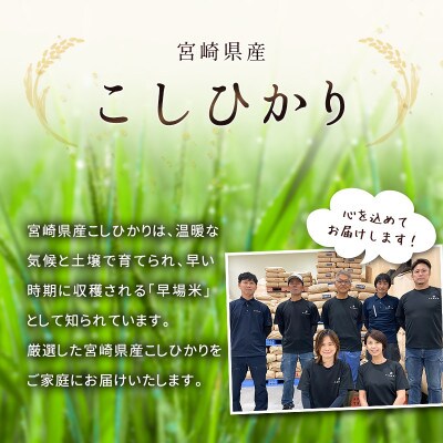 ※数量限定!※　令和7年産 宮崎県産こしひかり 無洗米 3kg×2袋 計6kg【訳あり!】