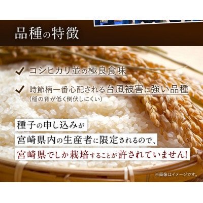 【毎月定期便】宮崎県産 夏の笑み(無洗米)20kg(5kg×4袋)全3回