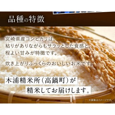 【発送月固定定期便】令和8年産米 こしひかり 5kg 宮崎県産米(チャック米袋付き)全3回