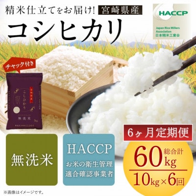 【毎月定期便】【さとふる限定】こしひかり 10kg 宮崎県産米(チャック米袋付き)全6回