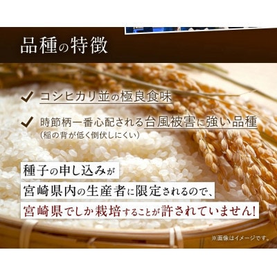 【毎月定期便】宮崎県産　夏の笑み　5kg(チャック付き)全3回