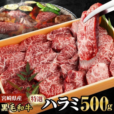 宮崎県産黒毛和牛　特選ハラミ　500g