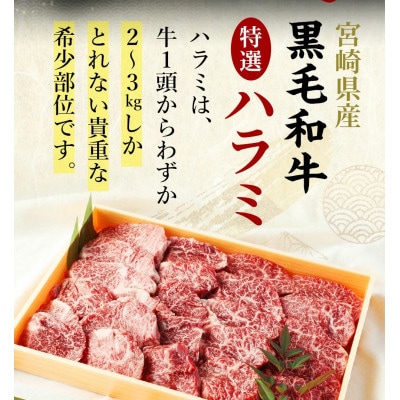宮崎県産黒毛和牛　特選ハラミ　500g