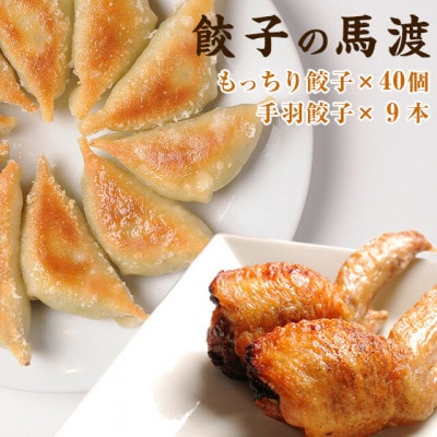 馬渡のもっちり餃子40個・手羽餃子9本