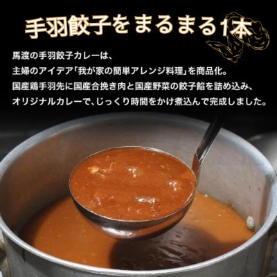 【みやざき餃子新名物 手羽餃子カレー】10箱