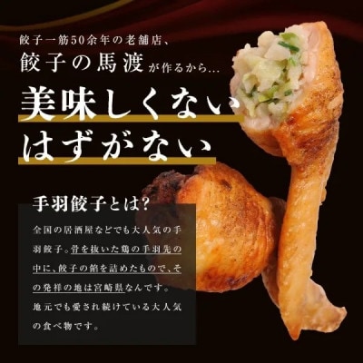 【みやざき餃子新名物 手羽餃子カレー】10箱
