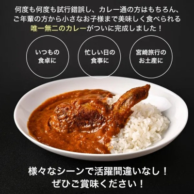 【みやざき餃子新名物 手羽餃子カレー】10箱