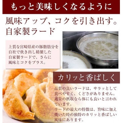 馬渡のもっちり餃子 25個