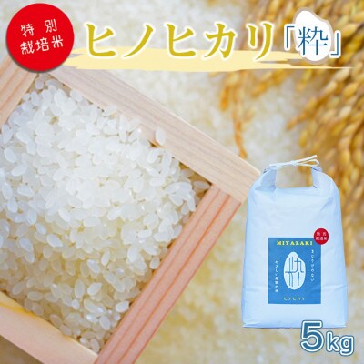 令和6年産　特別栽培米「粋」ヒノヒカリ5kg(白米)