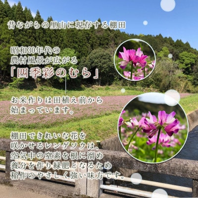 令和6年産　特別栽培米「粋」ヒノヒカリ10kg(白米)