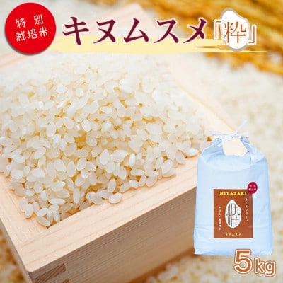 令和6年産　特別栽培米「粋」キヌムスメ5kg(白米)