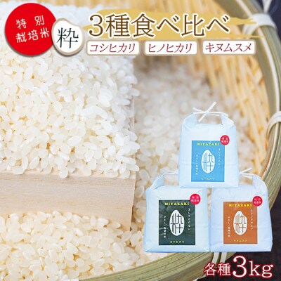 令和6年産　特別栽培米「粋」シリーズ食べ比べ　コシヒカリ・ヒノヒカリ・キヌムスメ　各種3kg