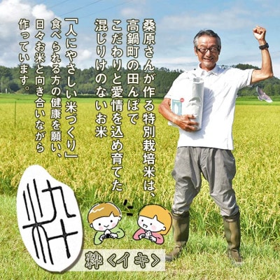 令和6年産　特別栽培米「粋」シリーズ食べ比べ　コシヒカリ・ヒノヒカリ・キヌムスメ　各種3kg