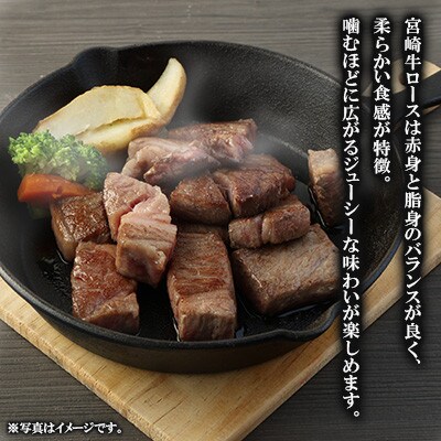宮崎牛 ロースサイコロステーキ 500g(高鍋町)