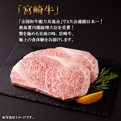 宮崎牛 ロースステーキ 2枚 500g(高鍋町)