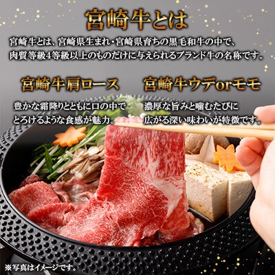 宮崎牛 すきしゃぶ 2種 (赤身霜降り)　約900g(高鍋町)