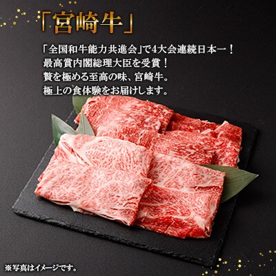 宮崎牛 すきしゃぶ 2種 (赤身霜降り)　約900g(高鍋町)