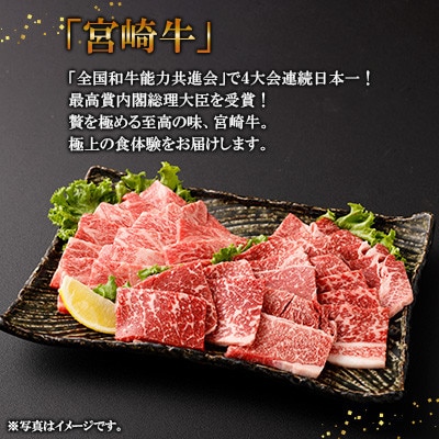 宮崎牛 焼肉 2種 (赤身霜降り)　約900g(高鍋町)