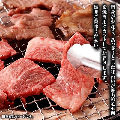 【毎月定期便】宮崎牛 モモ焼肉 500g(高鍋町)全4回