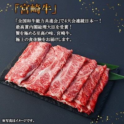 【毎月定期便】宮崎牛 肩ローススライス 500g(高鍋町)全3回