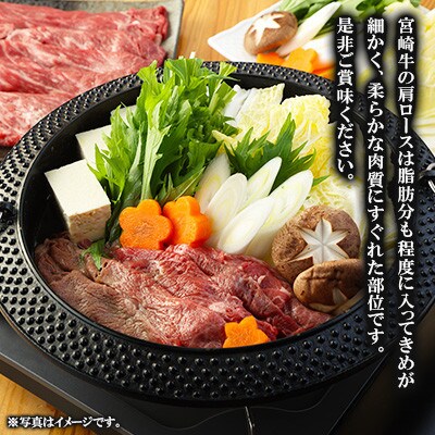 【毎月定期便】宮崎牛 肩ローススライス 500g(高鍋町)全3回