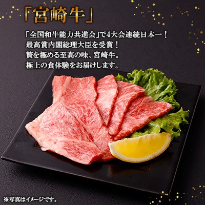【毎月定期便】宮崎牛 肩ロース焼肉 500g(高鍋町)全5回