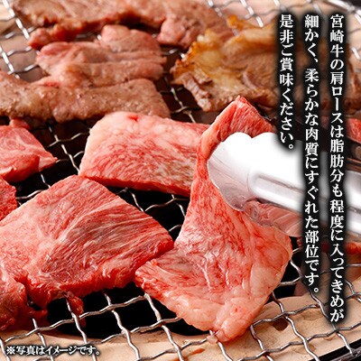 【毎月定期便】宮崎牛 肩ロース焼肉 500g(高鍋町)全5回