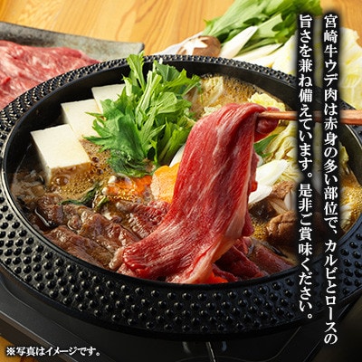 【毎月定期便】宮崎牛 ウデ スライス 500g(高鍋町)全5回