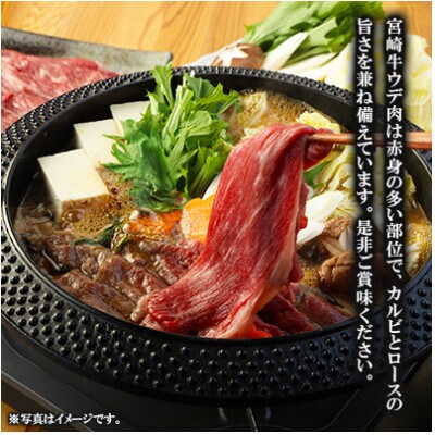 【毎月定期便】宮崎牛 ウデ スライス 500g(高鍋町)全6回