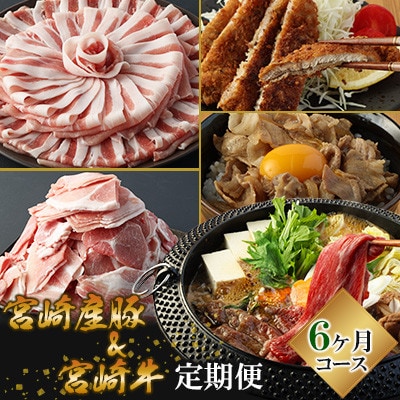 【毎月定期便】ミヤチク 宮崎県豚・宮崎牛(高鍋町)全6回