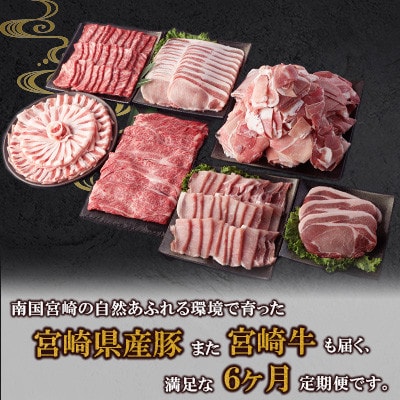 【毎月定期便】ミヤチク 宮崎県豚・宮崎牛(高鍋町)全6回