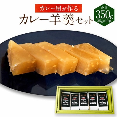 カレー屋が作る『カレー羊羹セット』　35g×10個 計350g