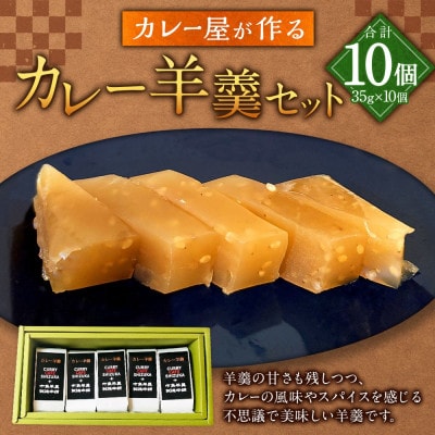 カレー屋が作る『カレー羊羹セット』　35g×10個 計350g