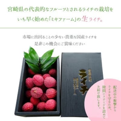 ※数量限定※希少!宮崎県産 国産 生ライチ 1kg ※最終受付中!※