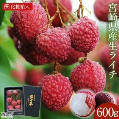 ※数量限定※希少!宮崎県産 国産 生ライチ 600g(化粧箱入り) ※最終受付中!※