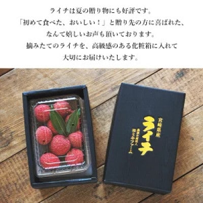 ※数量限定※希少!宮崎県産 国産 生ライチ 600g(化粧箱入り) ※最終受付中!※
