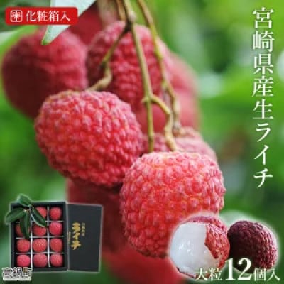 ※数量限定※希少!宮崎県産ライチ大粒12個入り(化粧箱入り) ※最終受付中!※