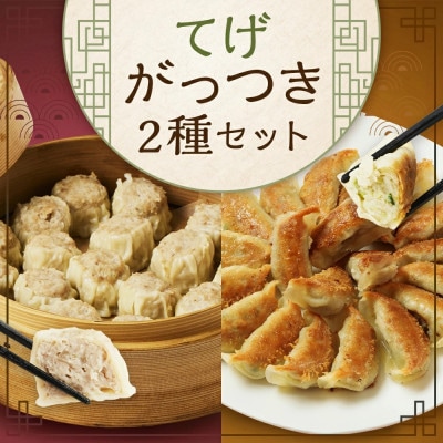 【のし付き】てげがっつきセット(豚と野菜のギョーザ+焼売)