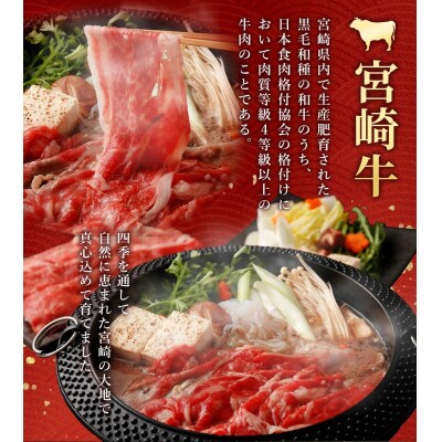 宮崎牛ももバラすき焼き600g(もも150g+バラ150g)×2パック　(高鍋町)